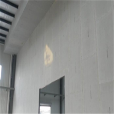 大田宁波ALC板|EPS加气板隔墙与混凝土整浇联接的实验研讨